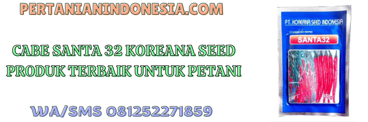 cabe,santa 32,santa 32 f1,f1,pertanian indonesia